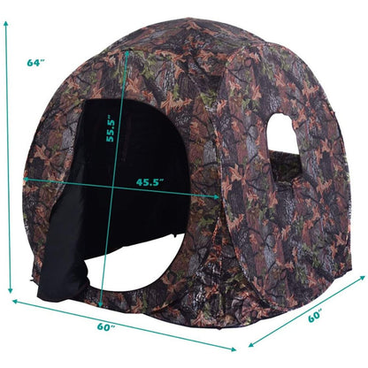 542786281