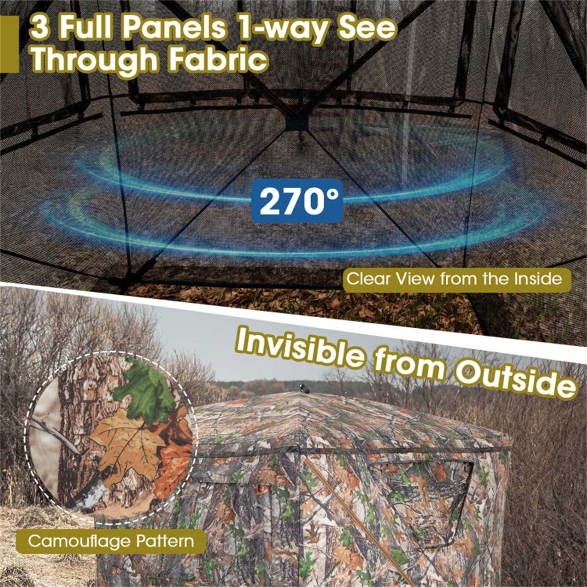 542785801